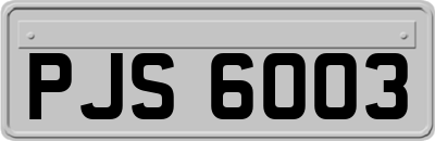 PJS6003