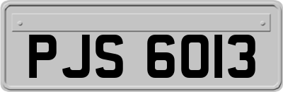 PJS6013