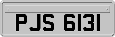 PJS6131