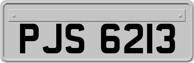 PJS6213