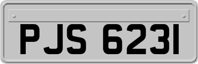 PJS6231
