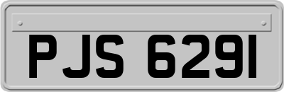 PJS6291