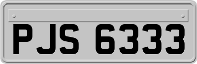 PJS6333