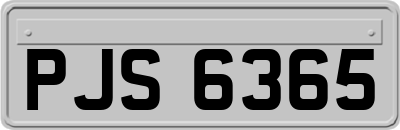 PJS6365