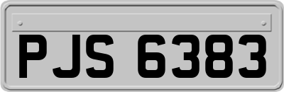 PJS6383
