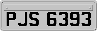 PJS6393