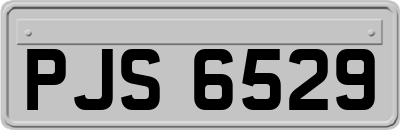 PJS6529