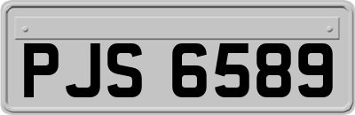 PJS6589