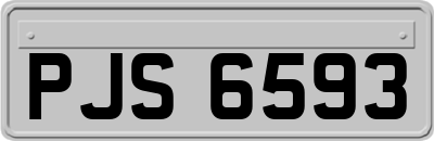 PJS6593