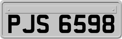 PJS6598
