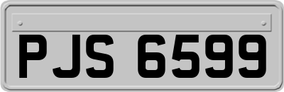 PJS6599