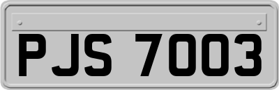 PJS7003
