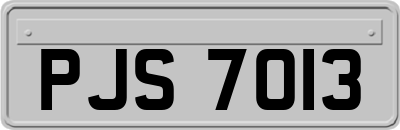 PJS7013