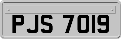 PJS7019