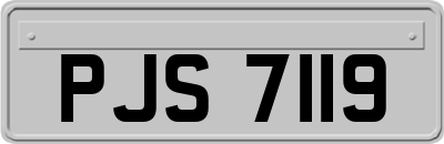 PJS7119