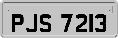 PJS7213