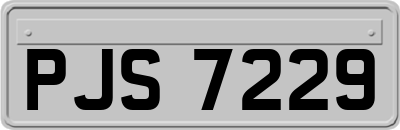 PJS7229