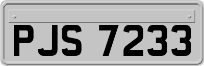 PJS7233