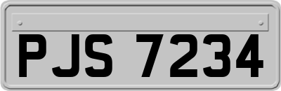 PJS7234