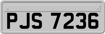 PJS7236