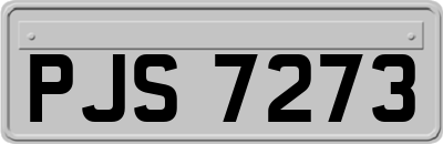 PJS7273