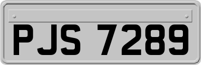 PJS7289