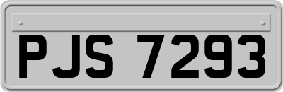 PJS7293