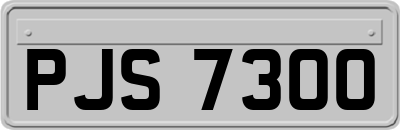 PJS7300