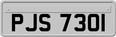 PJS7301