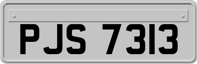 PJS7313