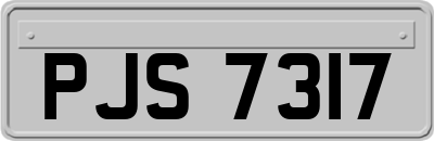 PJS7317