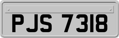 PJS7318