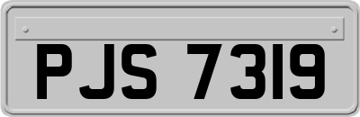 PJS7319