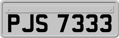 PJS7333