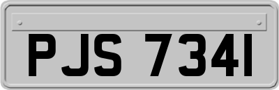 PJS7341