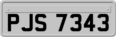 PJS7343