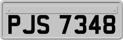PJS7348