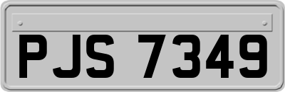 PJS7349