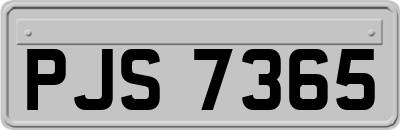PJS7365