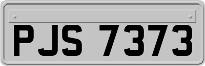PJS7373