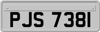 PJS7381