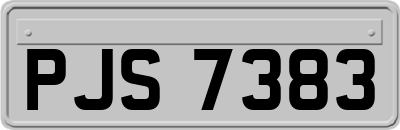 PJS7383