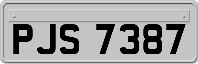 PJS7387
