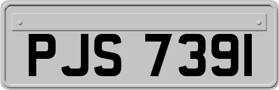 PJS7391