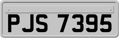 PJS7395