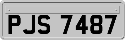 PJS7487