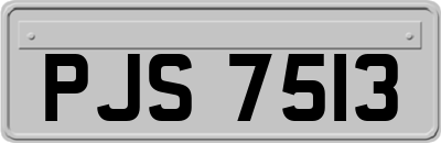 PJS7513