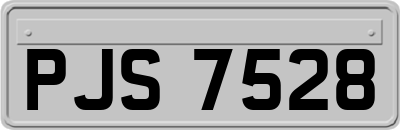 PJS7528