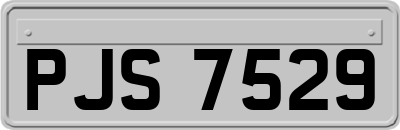 PJS7529