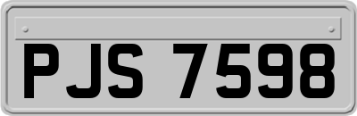 PJS7598